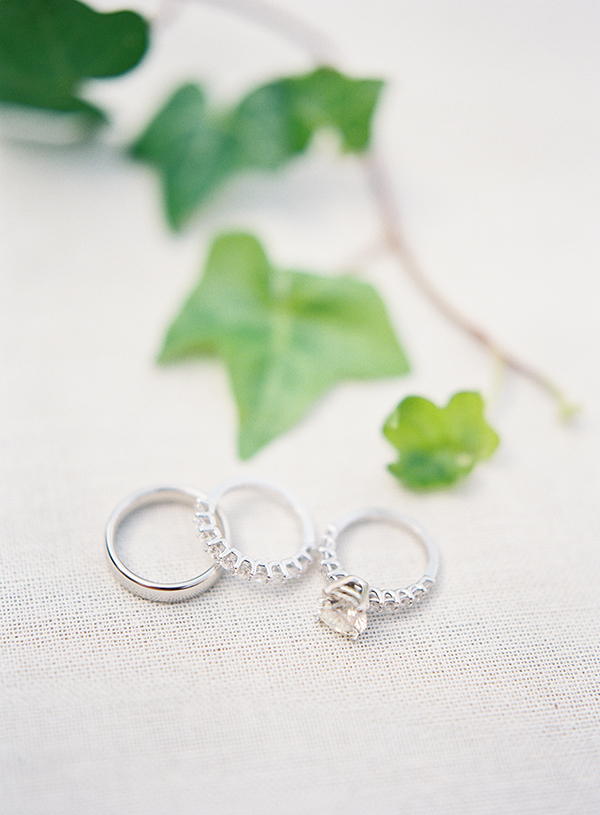Fine Art Details, Rings | Heather Payne Photography