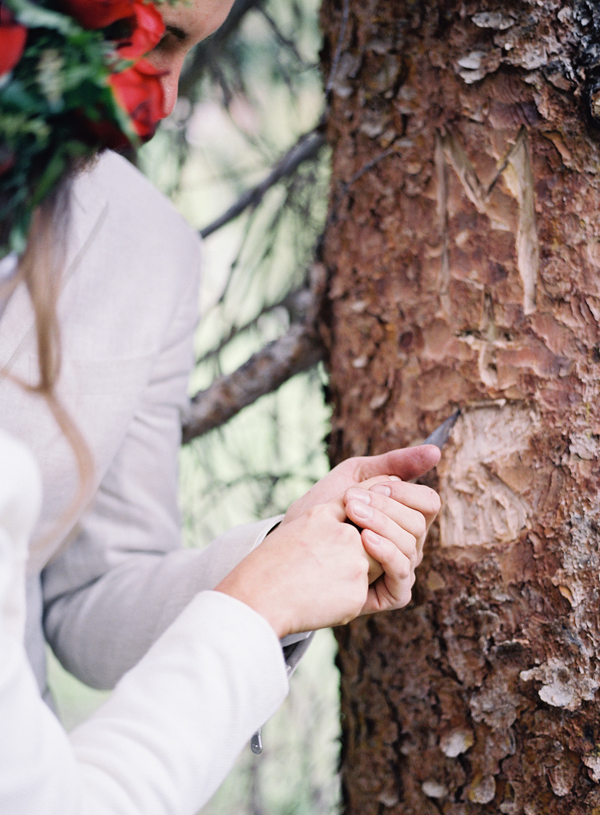 Telluride Colorado Wedding Photographer, Signing Names in Tree | Heather Payne Photography