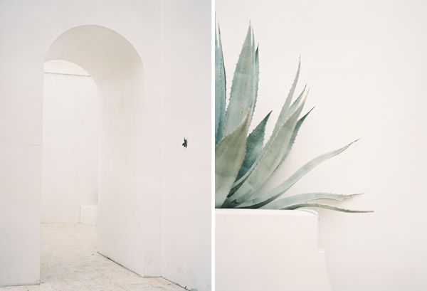Aly's Beach Florida, Agave, Architecture | Heather Payne Photography