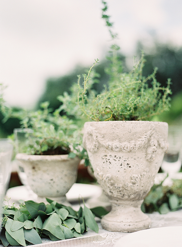 potted herbs centerpiece, natural organic wedding | Heather Payne Photography