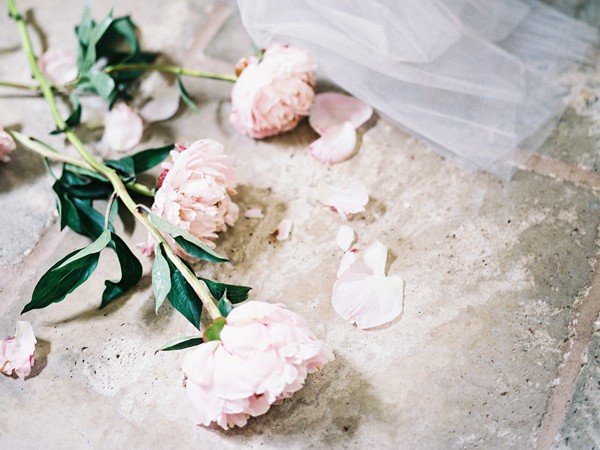abany bauer flowers and styling, heather payne photography, 