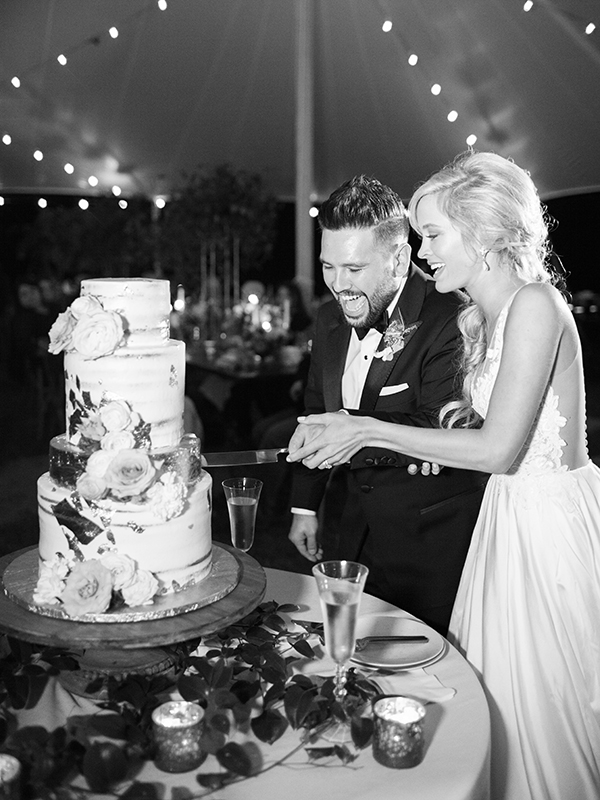 Cake Cutting, Shay & Hannah Mooney Wedding, Dan + Shay, Country Music | HEATHER PAYNE PHOTO