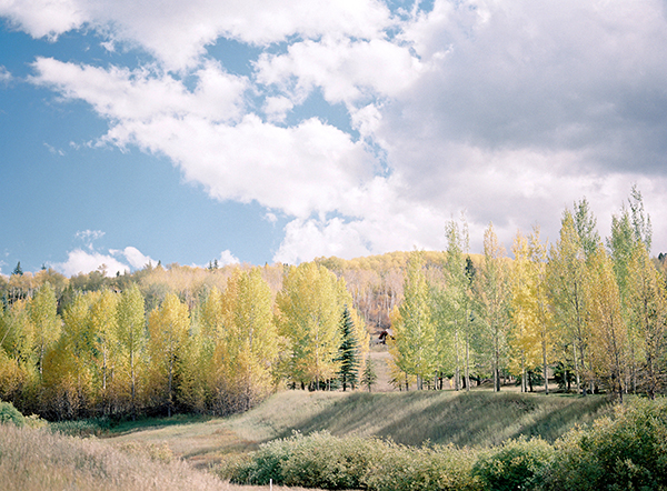 Fall, colorado Aspens | Heather Payne Photography