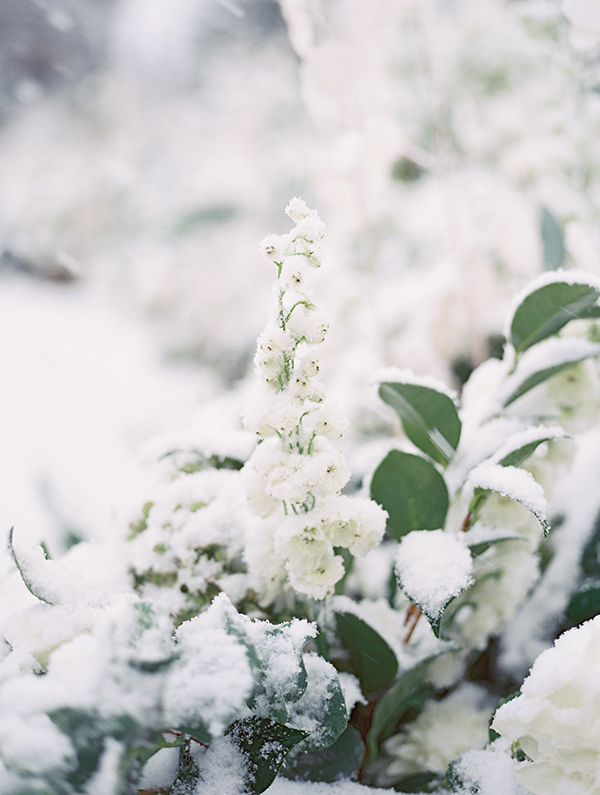 Winter Colorado Wedding, The Little Nell | Heather Payne Photography