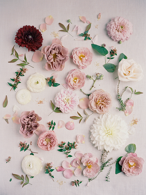 urban petals, mauve flowers, pink | Heather Payne Photography