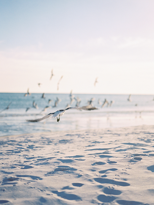 Seagulls, St Lucia Wedding, Sunset | Heather Payne Photography